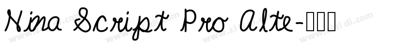 Nina Script Pro Alte字体转换